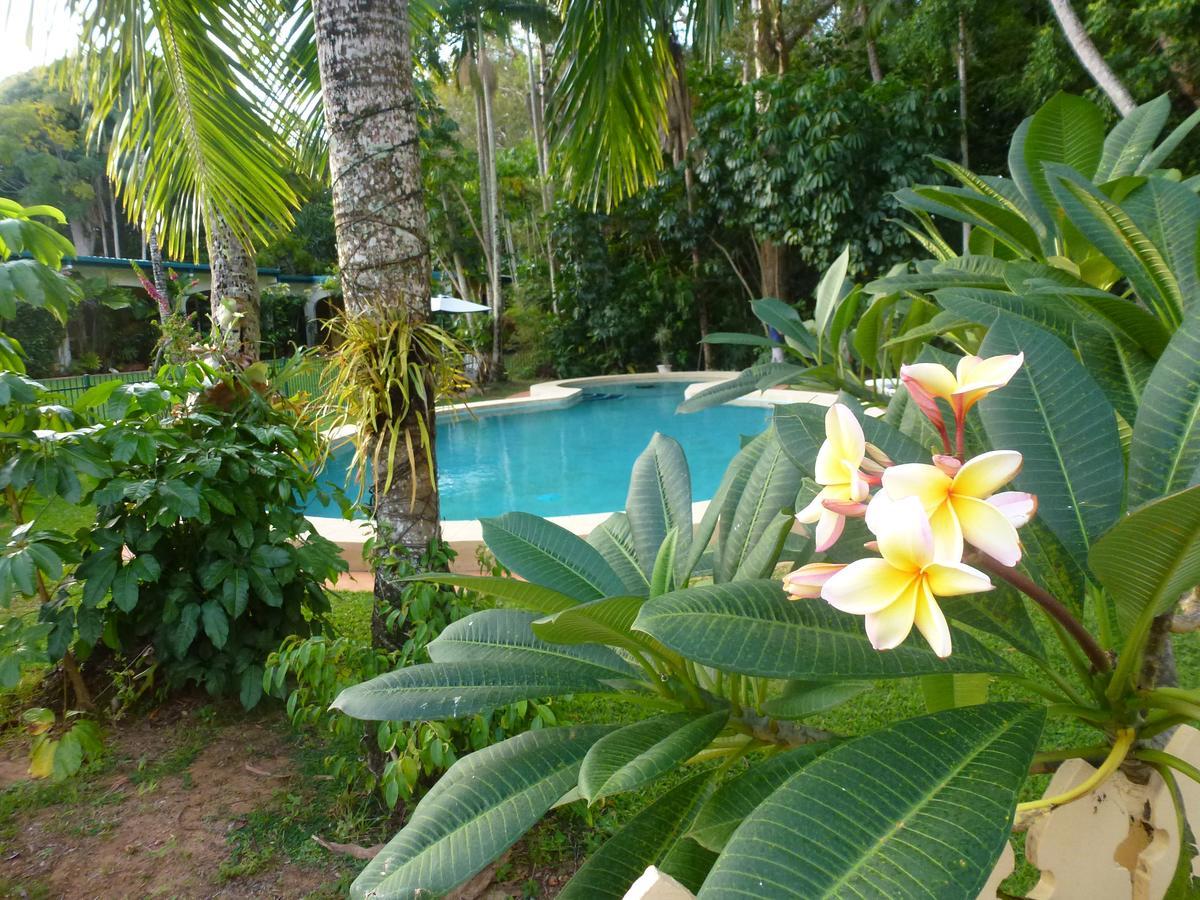 Villa Marine Holiday Apartments Cairns Yorkeys Knob Szoba fotó