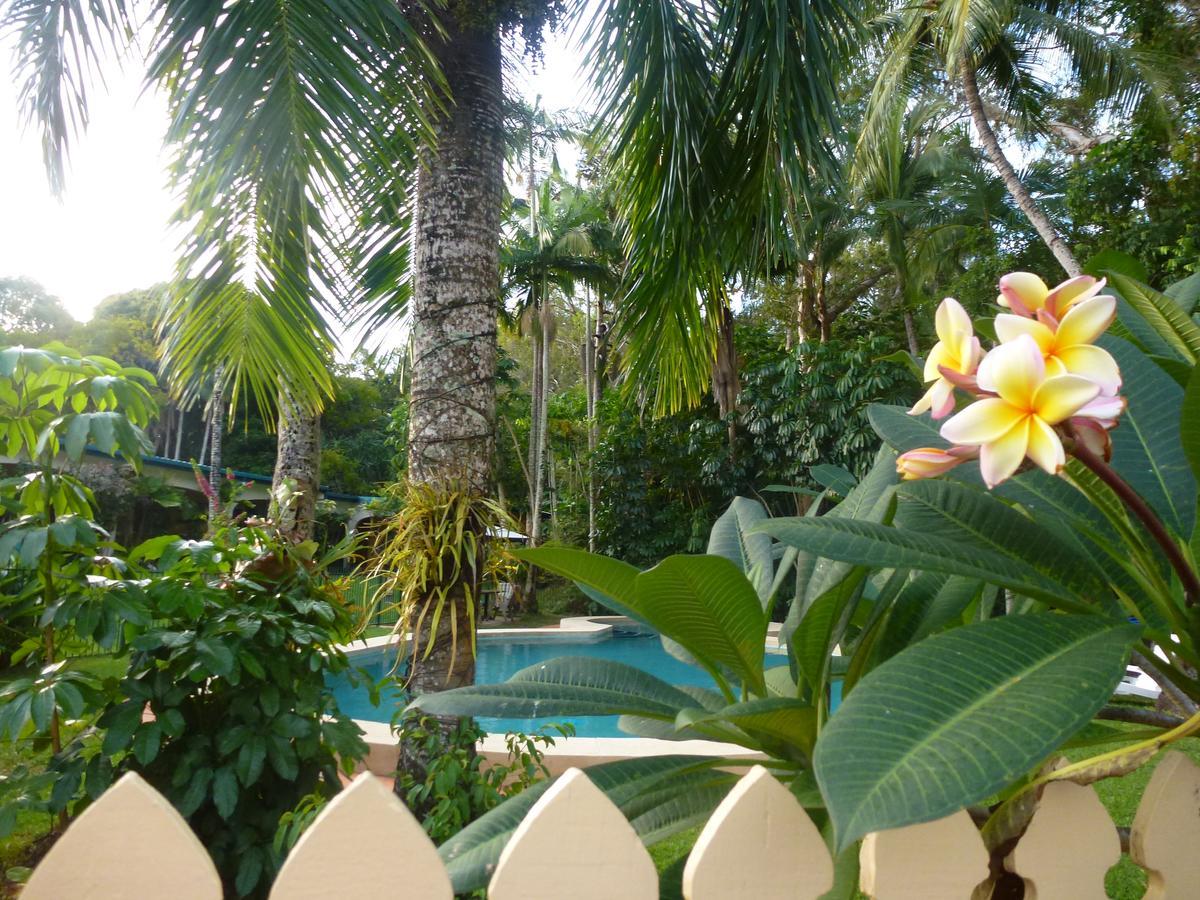 Villa Marine Holiday Apartments Cairns Yorkeys Knob Kültér fotó